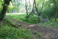 Sharnbrook Castle